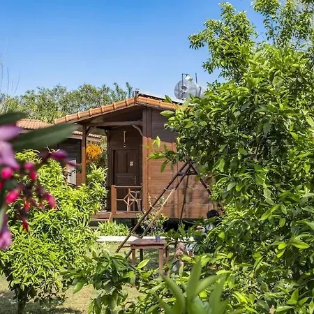 Holiday home Sehri *