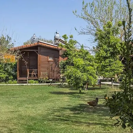 Holiday home Sehri